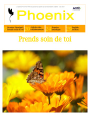 Phoenix - Juin 2021